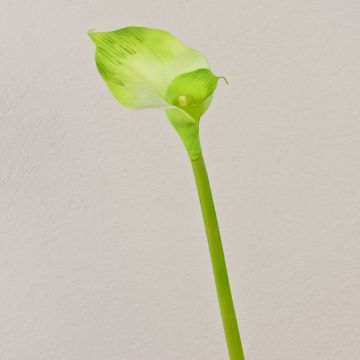 Umělá kornoutovka MARIOLA, zelená, 80cm, 8x15cm