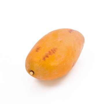 Umělé mango OLINDA, oranžová, 12cm, Ø6,5cm