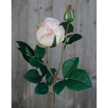 Umělá růže RENESMEE, světle růžová, 45cm, Ø6cm