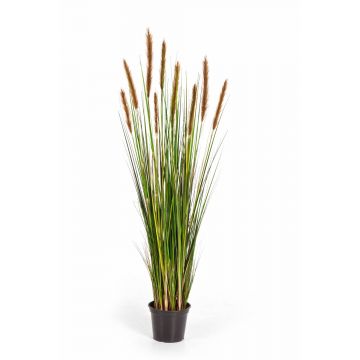 Umělá tráva psárka FREDERIK s laty, zeleno-hnědá, 120cm
