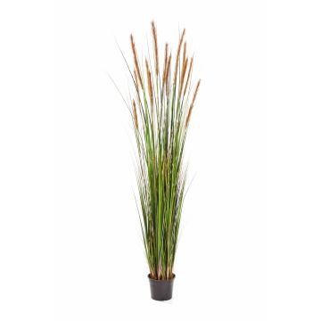 Umělá tráva psárka FREDERIK s laty, zeleno-hnědá, 180cm