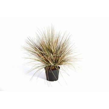 Umělá rostlina kamýš FABIAN, zeleno-hnědá, 65cm