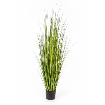 Umělá tráva ostřice SABURO, zelená, 150cm