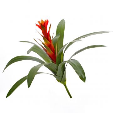 Umělá guzmánie INES s květy, na zápichu, červená, 45cm