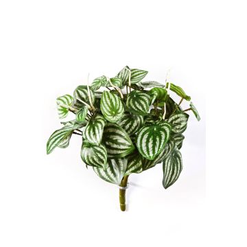 Umělá rostlina fitónie JANDIRA na zápichu, zeleno-bílá, 30cm