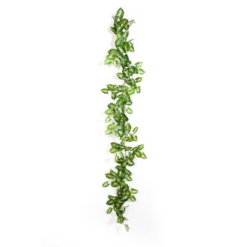 Umělecká syngoniová girlanda AOLOA, zeleno-bílá, 180 cm