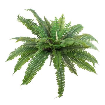 Umělá rostlina ledviník ztepilý SAMUEL, na zápichu, zelená, 55cm, Ø80cm