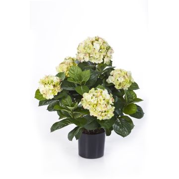 Umělá květina hortenzie HARUKA, zelená, 55cm, Ø10-15cm