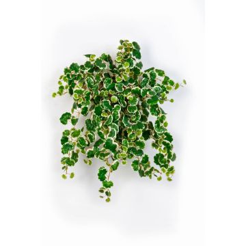Umělý fíkus AKUMA na zápichu, zeleno-bílá, 50cm