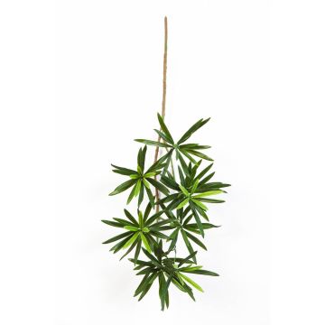 Umělá podocarpus větvička CHIKO, 50cm