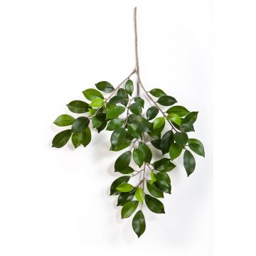 Umělý strom ficus benjamini větvička AJITH, zelená, 45cm