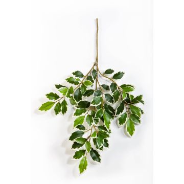 Umělý strom ficus benjamini větvička AJITH, zeleno-bíla, 45cm