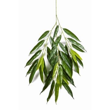 Umělá longifolia větvička RANJAN, 80cm