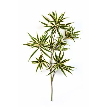 Umělá rostlina dračinec reflexa větvička MAYRA, zeleno-žlutá, 80cm