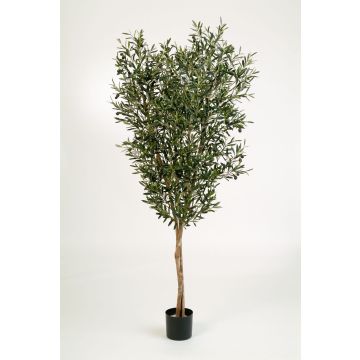 Umělý stromeček olivovník PHILIPOS, skutečné kmeny, s plody, 120cm