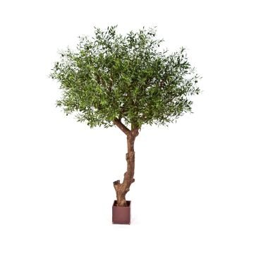 Umělý stromek olivovník NIKOLAS, přírodní kmen, s plody, 270cm