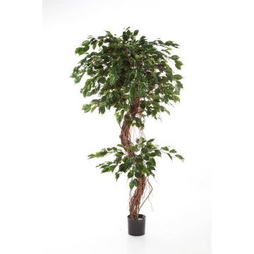 Umělý strom fikus benjamín LUANO, přírodní kmeny, zelená, 180cm