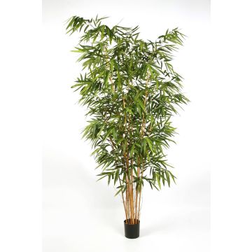 Umělá rostlina bambus FUDO, přírodní kmeny, 240cm