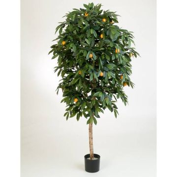 Umělý stromek - pomerančovník CELIA, skutečný kmen, s plody, 110cm