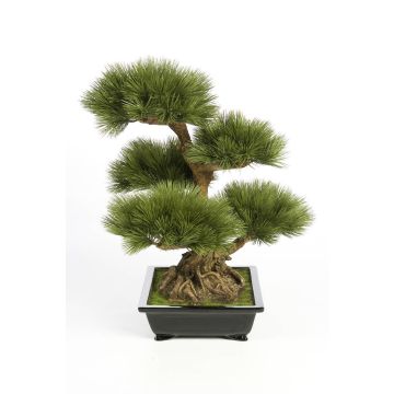 Umělý strom bonsai pínie TAYLOR, s kořeny, v keramické míse, 70cm