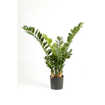 Umělá zamioculcas zamiifolia AKONO, 100cm