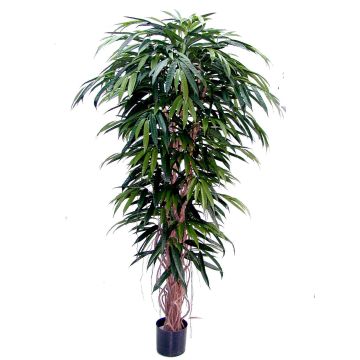 Umělý strom longifolia PARI, přírodní kmeny, 150cm