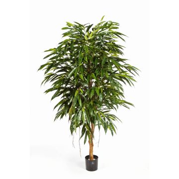 Umělý strom longifolia HISA, přírodní kmen, 150cm