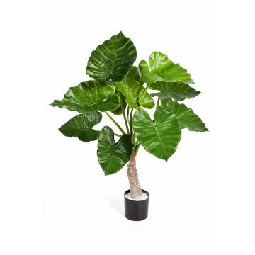 Umělá rostlina alokásie calidora SURI, zelená, 80cm