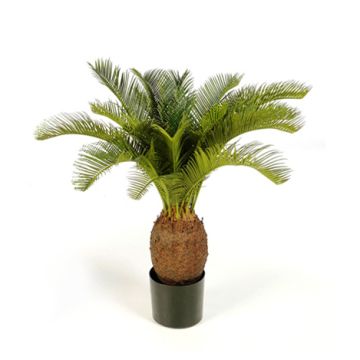 Plastová palma cykas MATTHEW, 70cm