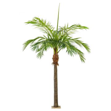 Umělá palma datlovník STEVEN, 420cm