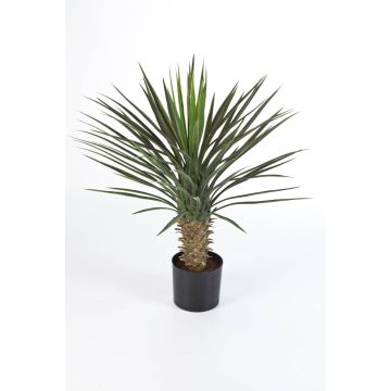 Umělá rostlina juka palma RAFFAELA, 80cm