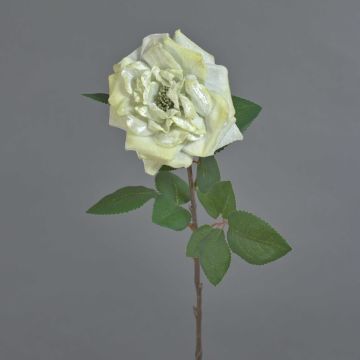 Sametová růže YUFAN, krémová, 60cm