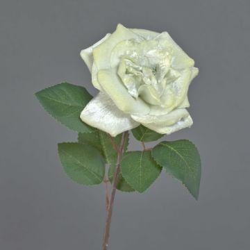 Sametová růže YUFAN, krémová, 45cm
