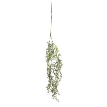 Dekorativní větev asparagus acutifolius CHENMU, zelenobílá, 100cm