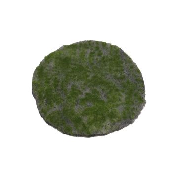 Dekorativní kulatá mechová rohož FANGYU, zelená, Ø30cm