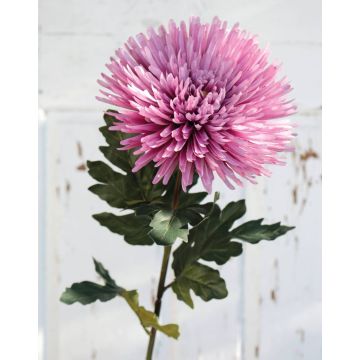 Umělá chryzantéma NANDOR, růžová, 90cm, Ø18cm