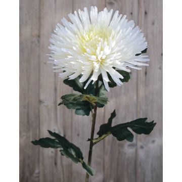 Umělá chryzantéma NANDOR, krémově bílá, 90cm, Ø18cm