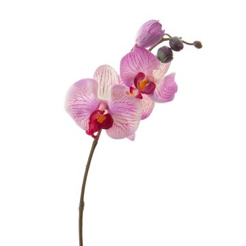 Umělá větev orchideje phalaenopsis VANESSA, růžová, 30cm
