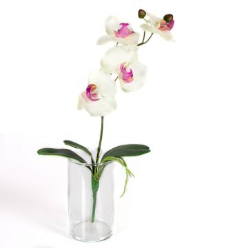 Umělá orchidej phalaenopsis MADOU, se zápichem, bílo-růžová, 40cm