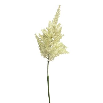 Umělá květina čechravy YUANKE, krémová, 70cm