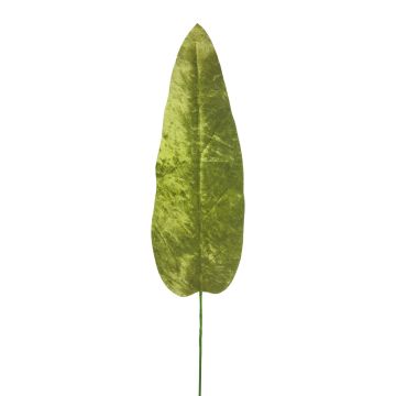 Sametový banánový list AOXUE, zelený, 70cm