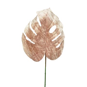 Sametový list filodendron Monstera Deliciosa AOSHUN, růžový, 70cm