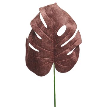 Sametový list filodendron Monstera Deliciosa AOSHUN, hnědý, 70cm