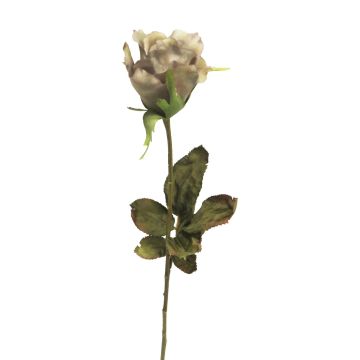 Plastová květina růže HUINA, béžovo-fialová, 60cm