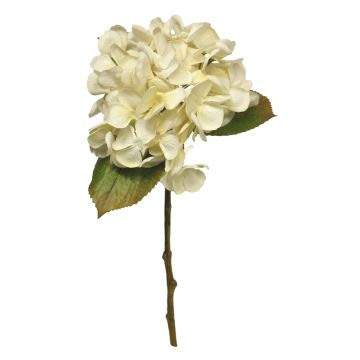 Dekorační květina hortenzie YANEN, krémová, 50cm
