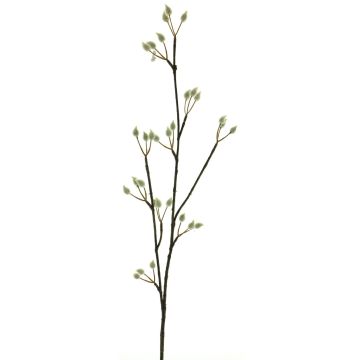 Deco větvička vrbové kočičky NAYONG s květy, krémová, 80cm