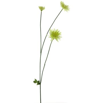 Umělá květina chryzantéma YUNJUAN, krémová, 60cm