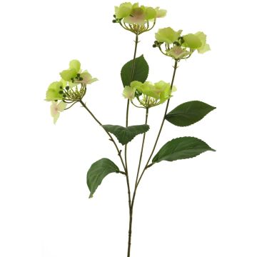 Umělá květina hortenzie PINNIAN, zelenožlutá, 70cm