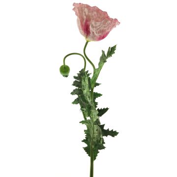 Dekorativní květina vlčí mák MIANCUI, růžová, 100cm