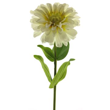 Umělá květina cínie MIANMO, krémová, 60cm